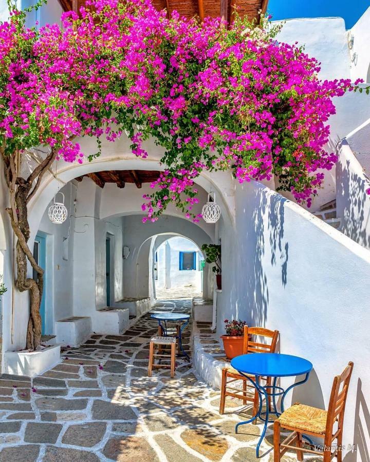 Villa Kavalli Paros Dhragoulas Exterior photo